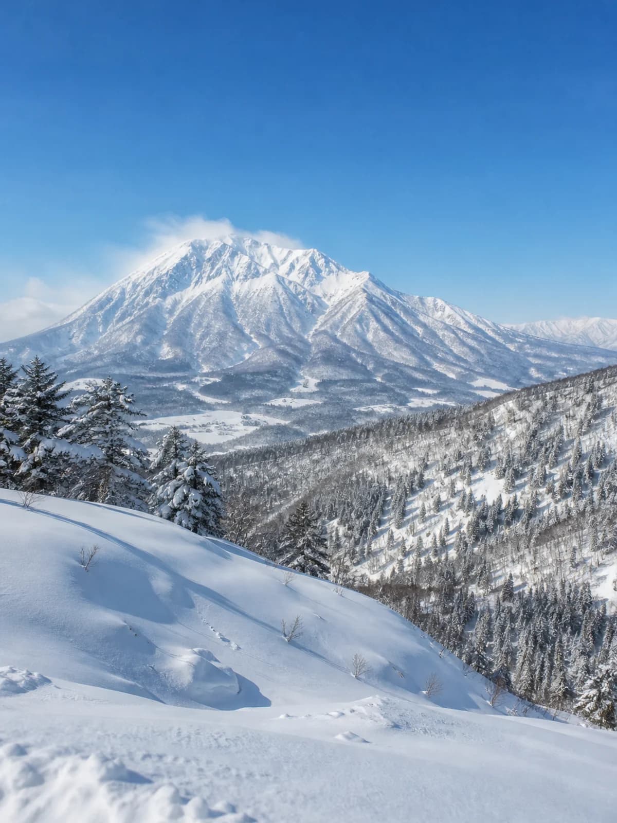 Tokyo to Myoko Kogen ski transfer