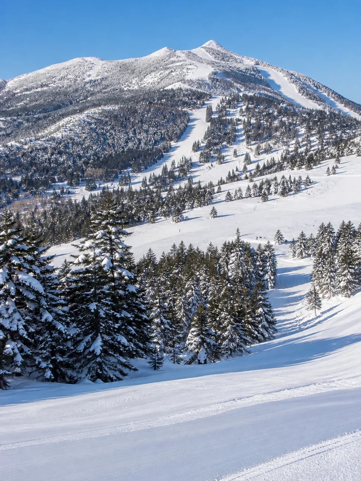 Tokyo to Shiga Kogen